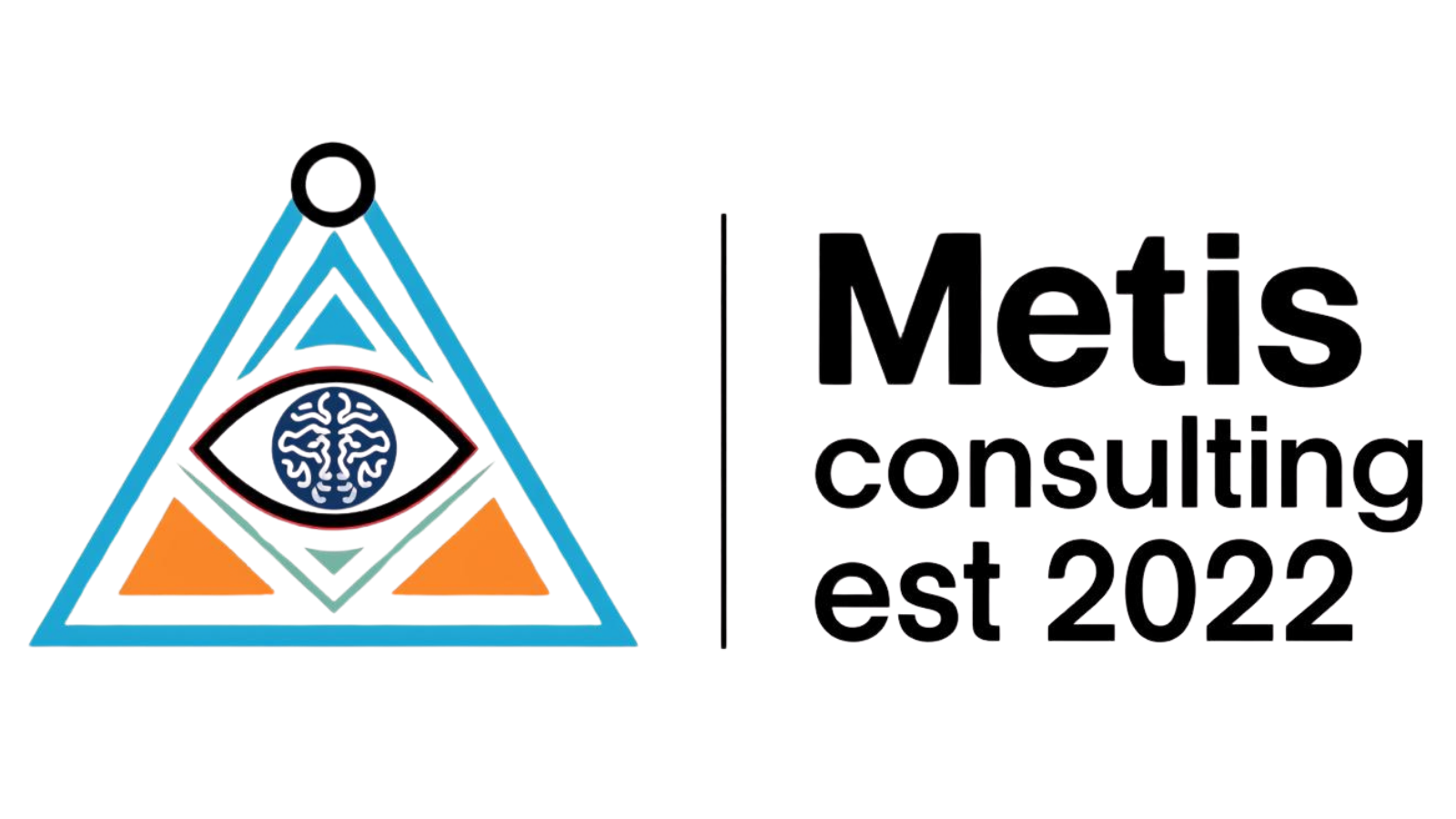 METIS CONSULTING